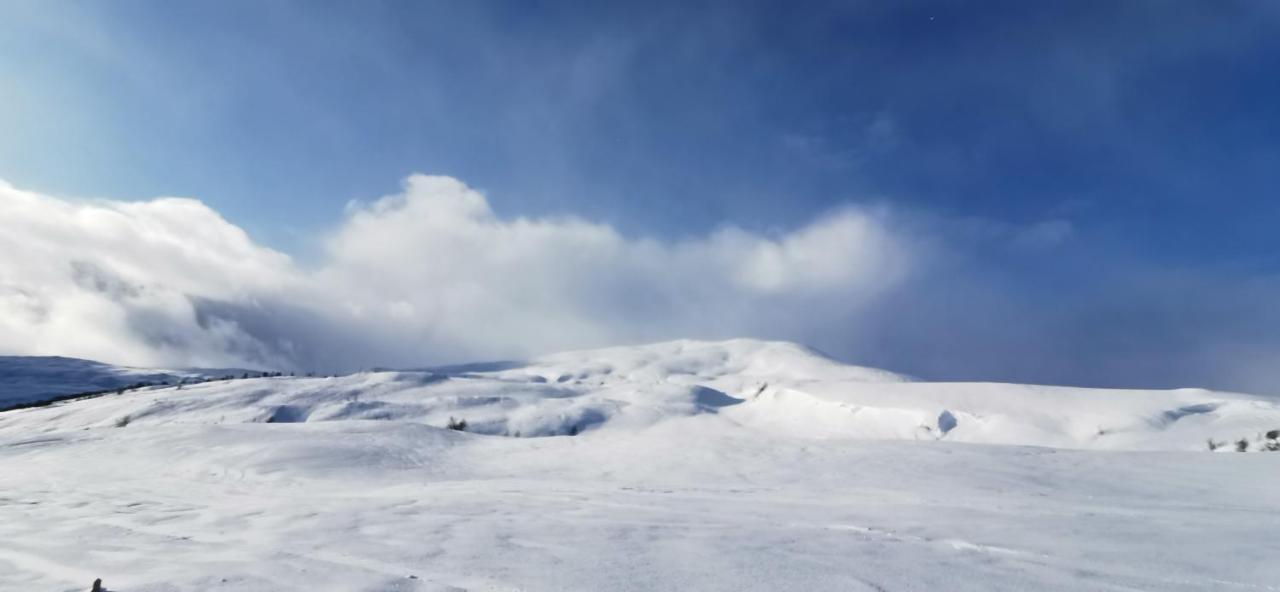 Mlodge - The Mountain Lodge Sogndal Zewnętrze zdjęcie